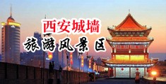 黄色日比网站中国陕西-西安城墙旅游风景区